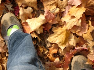 IMG_2765