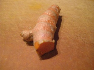 turmeric